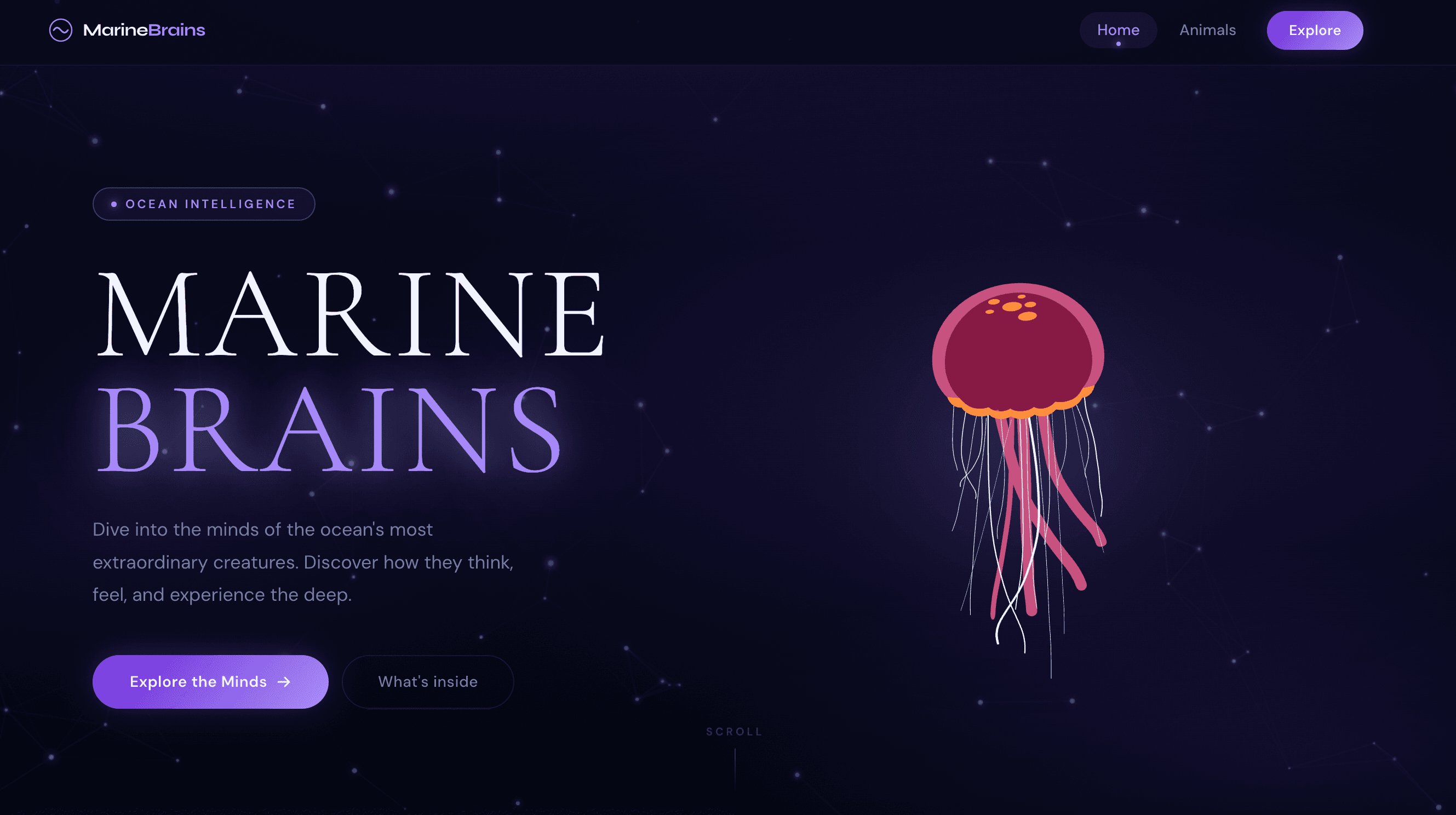 Marine Brains